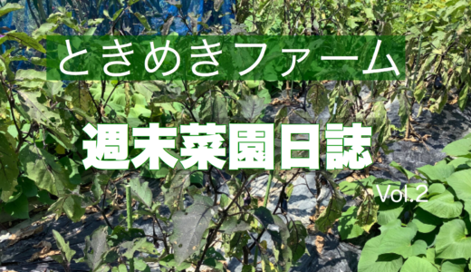 梅雨時期の野菜栽培の難しさを実感