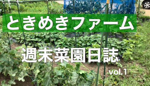 長雨続きで畑が水浸し、夏野菜が根腐れでピンチ！