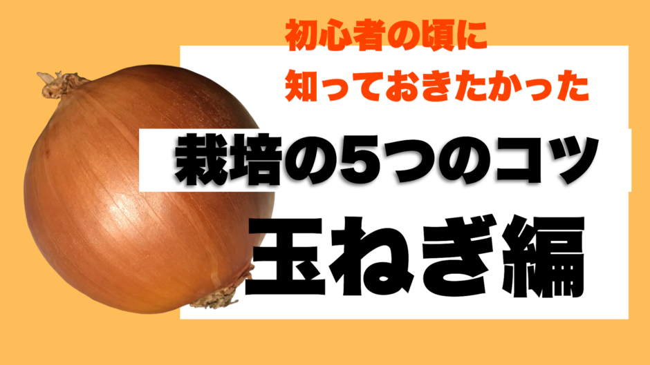 タマネギ栽培で失敗した人に伝えたい栽培方法5つのコツ ときめきガレージ