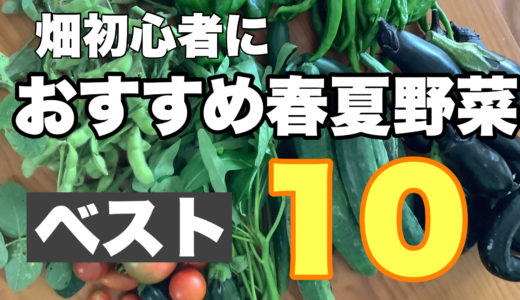 畑初心者におすすめ春夏野菜10種！コスパが高い総合ランキング発表！