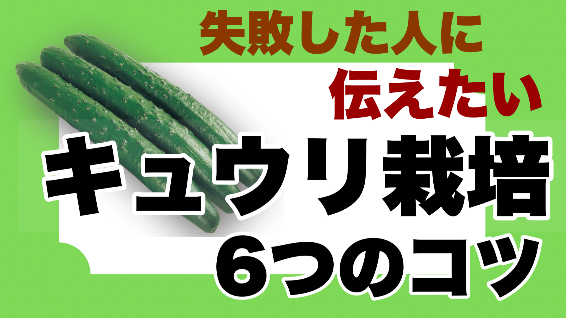 キュウリ栽培で失敗した人に伝えたい栽培方法6つのコツ ときめきガレージ キュウリ栽培で失敗した人に伝えたい栽培方法6つのコツ ときめきガレージ