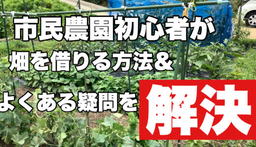 市民農園初心者が畑を借りる方法とよくある疑問を解決