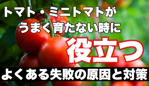 トマト・ミニトマトが育たない？６つ原因と失敗しない対策