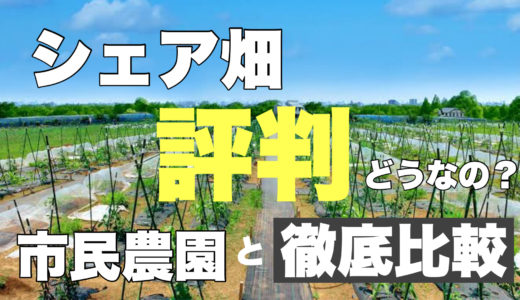 シェア畑の評判は？経験者が貸し農園VS市民農園の魅力を徹底比較！