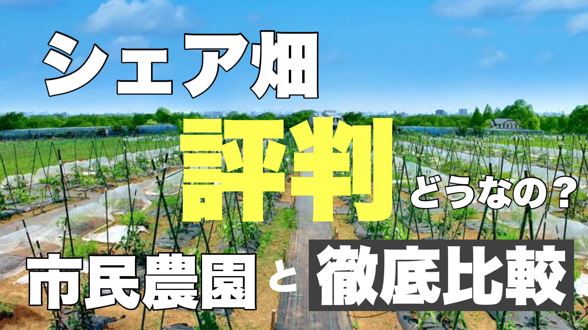 シェア畑の評判は 経験者が貸し農園vs市民農園の魅力を徹底比較 ときめきガレージ