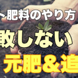 トマト肥料のやり方｜失敗しない元肥・追肥のタイミングと手順