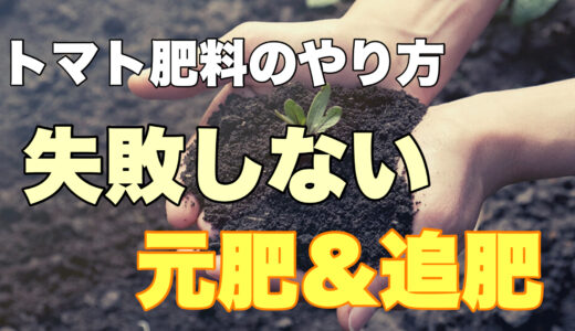 トマト肥料のやり方｜失敗しない元肥・追肥のタイミングと手順