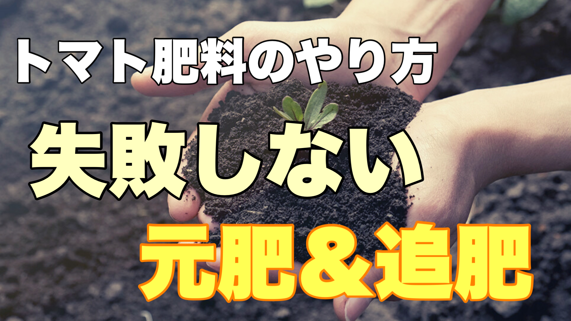 トマト肥料のやり方 失敗しない元肥 追肥のタイミングと手順 ときめきガレージ