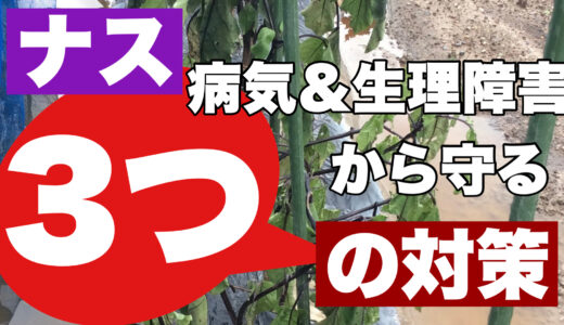 ナスの病気対策とは？生理障害かも？症状の違いと対策を徹底解説！