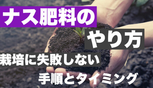 ナス肥料の与え方｜失敗しない元肥・追肥のタイミイングと手順