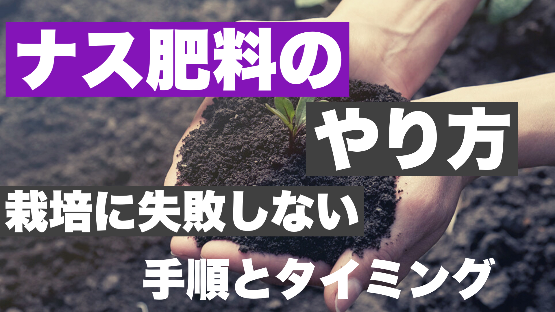 ナス肥料の与え方 失敗しない元肥 追肥のタイミイングと手順 ときめきガレージ